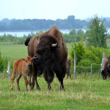 In Near A Vakantiehuis