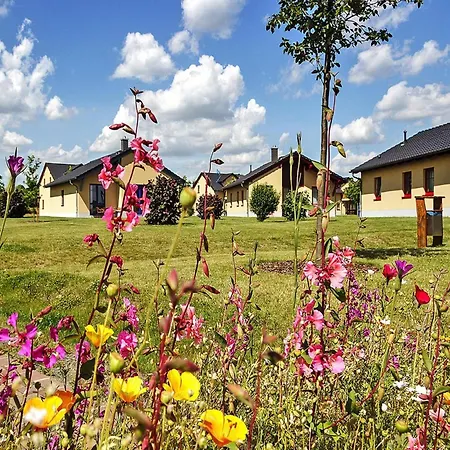 Vakantiehuis In Near A *