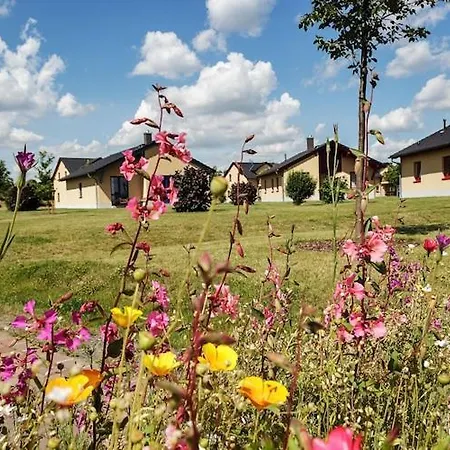 Ferienhaeuser In Markleeberg Im Am Ferienhaus